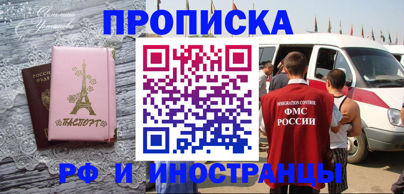 прописка поиск в Бабаево
